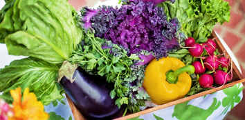 Alimentos orgânicos: benefícios para a saúde e para o meio ambiente
