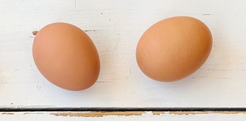 Dia Mundial do ovo é comemorado por especialistas