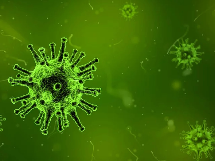 Idosos devem contar com cuidado extra diante da epidemia do novo coronavírus