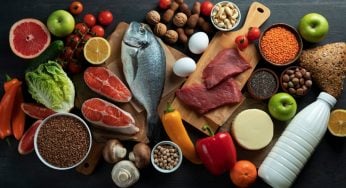 Proteína: qual o limite?